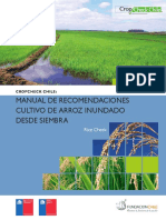 2011 - Cultivo de Arroz Inundado Desde La Siembra