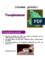 Toxoplasmose: causada pelo protozoário Toxoplasma gondii