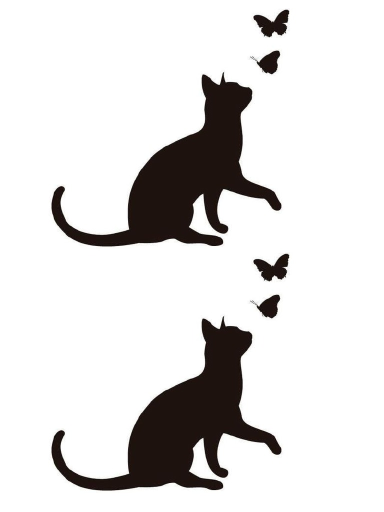 Gato | PDF