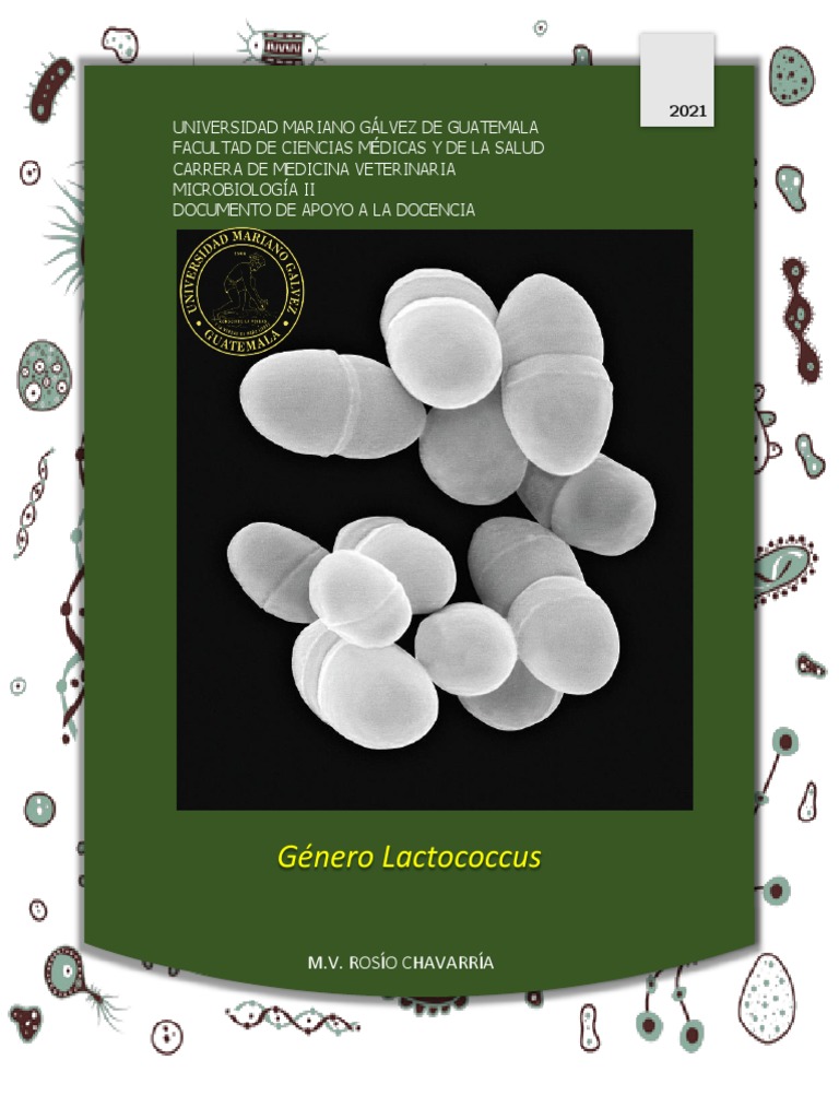 Lactococcus raffinolactis en Veterinaria | PDF | Probiótico | Las bacterias