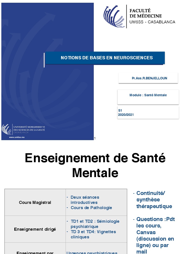 Bases en neurosciences et santé mentale | PDF | Circonvolution ...