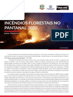 Incêndios Florestais no Pantanal- 2020