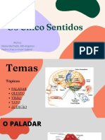 Os Cinco Sentidos: Paladar, Olfato, Visão, Tato e Audição