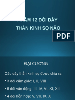 Kham 12 Doi Day Than Kinh So Nao
