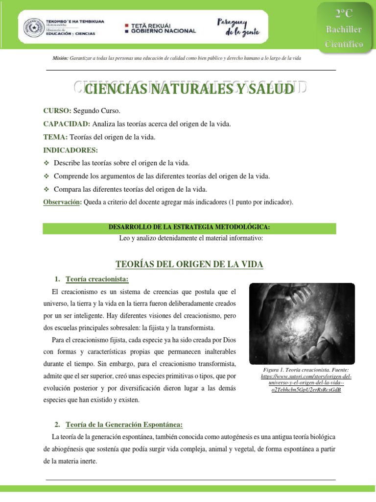Teorías sobre el origen de la vida | PDF | Naturaleza | Ciencias fisicas