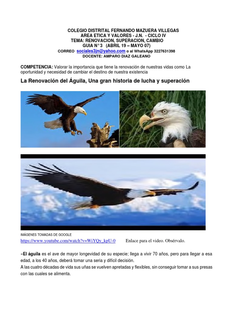 La Renovacion Del Aguila | PDF