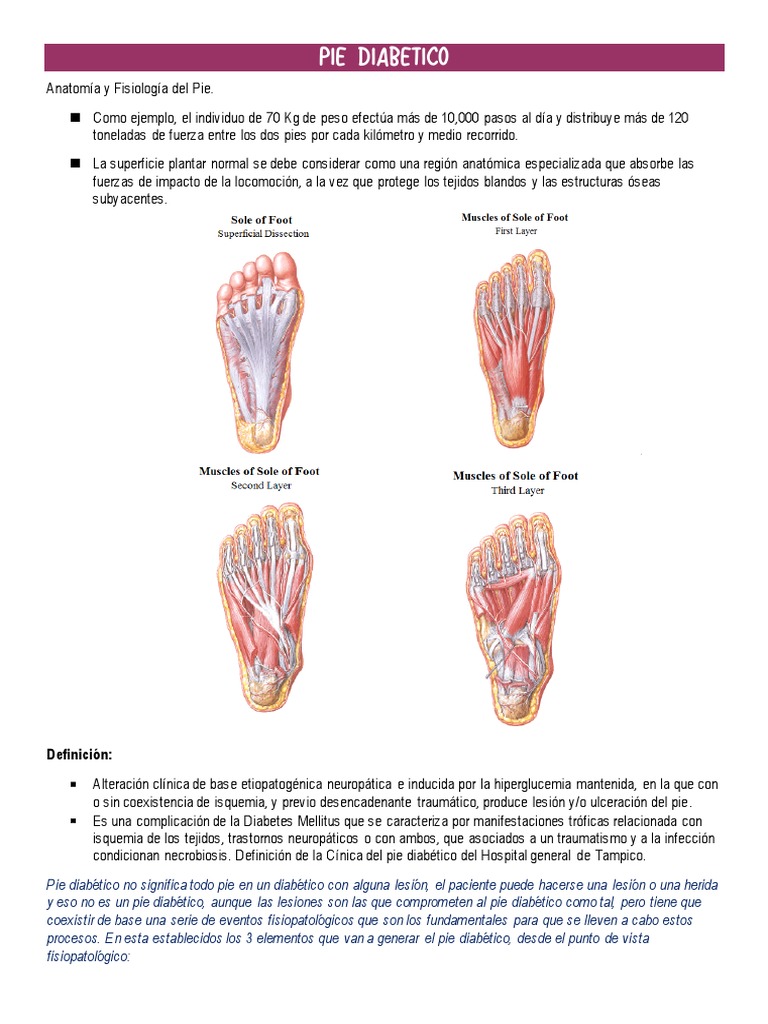 Pie Diabetico PDF Diabetes Pie