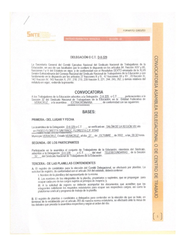 Formato Caed03 | PDF