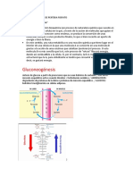 Gluconeogenesis y Vias de Pentosa Fosfato