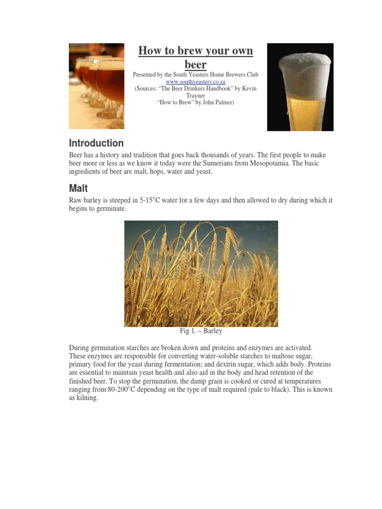 How To Brew Your Own Beer PDF Brewing Beer
