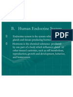 Human Endocrene System