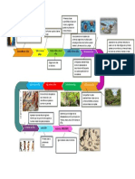 LINEA DEL TIEMPO FINAL (1)
