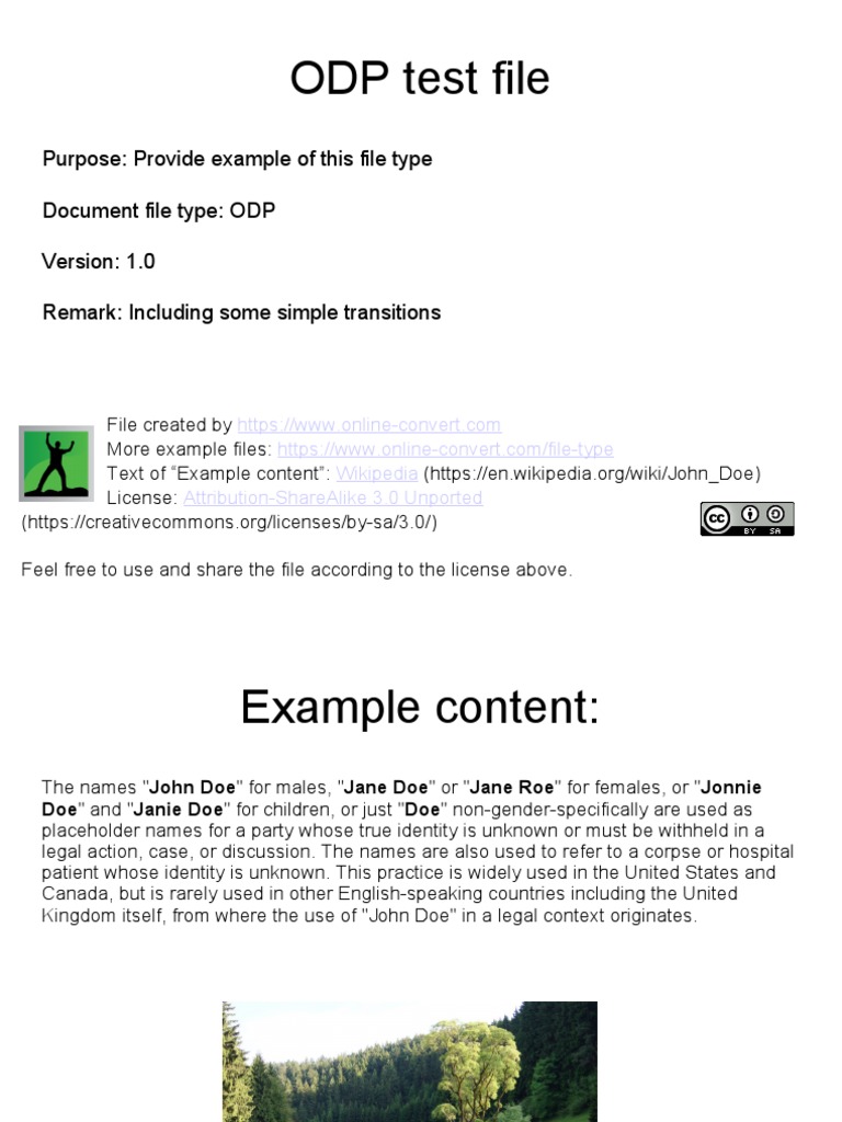 Example | PDF