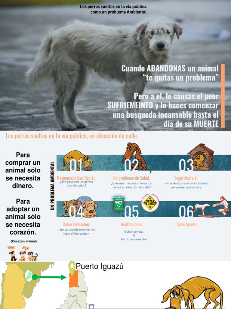 Problemas de perros en situación de calle | PDF | Infección | Medicina ...