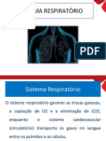 Aula 5 Sistema Respiratorio