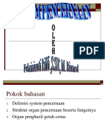 1 Anfis 4 Pencernaan Febriniwati Rifdi, SSiT, M. Biomed