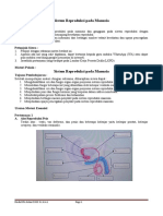 Sistem Reproduksi