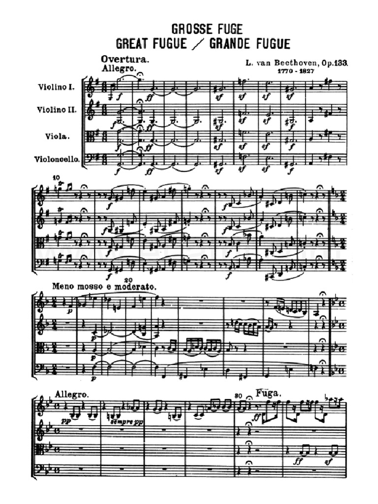 Beethoven Gran Fuga Grosse Fugue Op 133