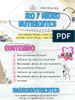 Nutrientes macro y micronutrientes: funciones y necesidades diarias