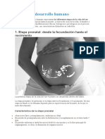 Etapas Del Desarrollo Humano: 1. Etapa Prenatal: Desde La Fecundación Hasta El Nacimiento