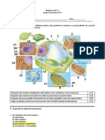 Control de Lectura #1 2021-1 2B2 - Respuestas