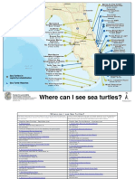 GIS Sea Turtle Observations