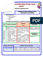 5° y 6° Miércoles 04 S5 SESION