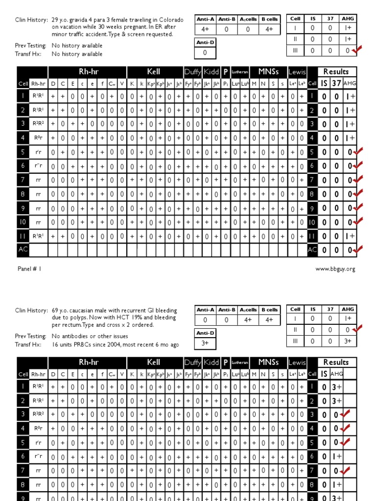 Blood Bank Guy Ab Screening PDF Animal Anatomy Immune System
