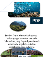 Potensi Sumber Daya Alam Dan Kemaritiman Indonesia