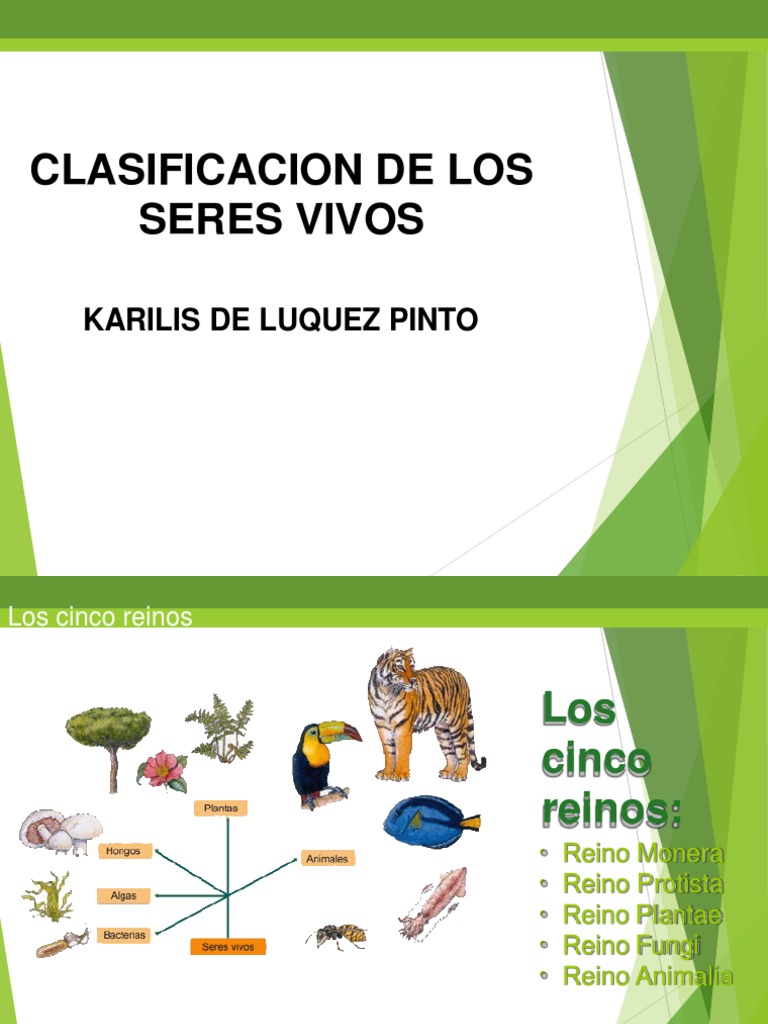 Clasificación de los 5 Reinos Biológicos | PDF | Plantas | Hongo