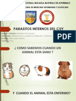 Parasitos Internos Del Cuy: Universidad Nacional Micaela Bastidas de Apurimac