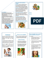 Triptico de Alimentacion Saludable 2