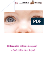 Colores de Ojos