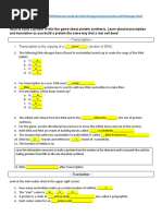 Protein Synthesis Race Worksheet