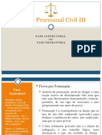 Procedimento probatório na fase instrutória