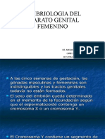 Embriologia Del Aparato Genital Femenino