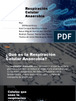 Presentación de Biologia