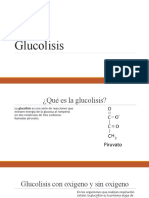 Glucolisis - Bioquimica General