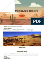 Ecosisteme Naturale Terestre - Desertul