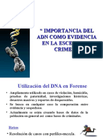 Genetica Forense