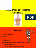 Organ Systems Power Point