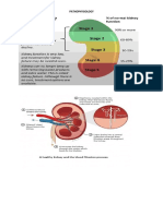 ESRD Pathophysiology