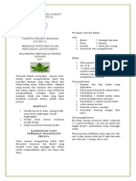 Leaflet Daun Pepaya