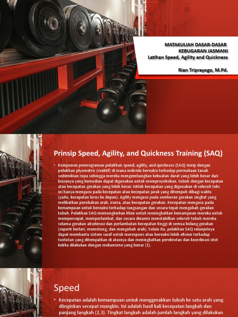 11 Saq | PDF