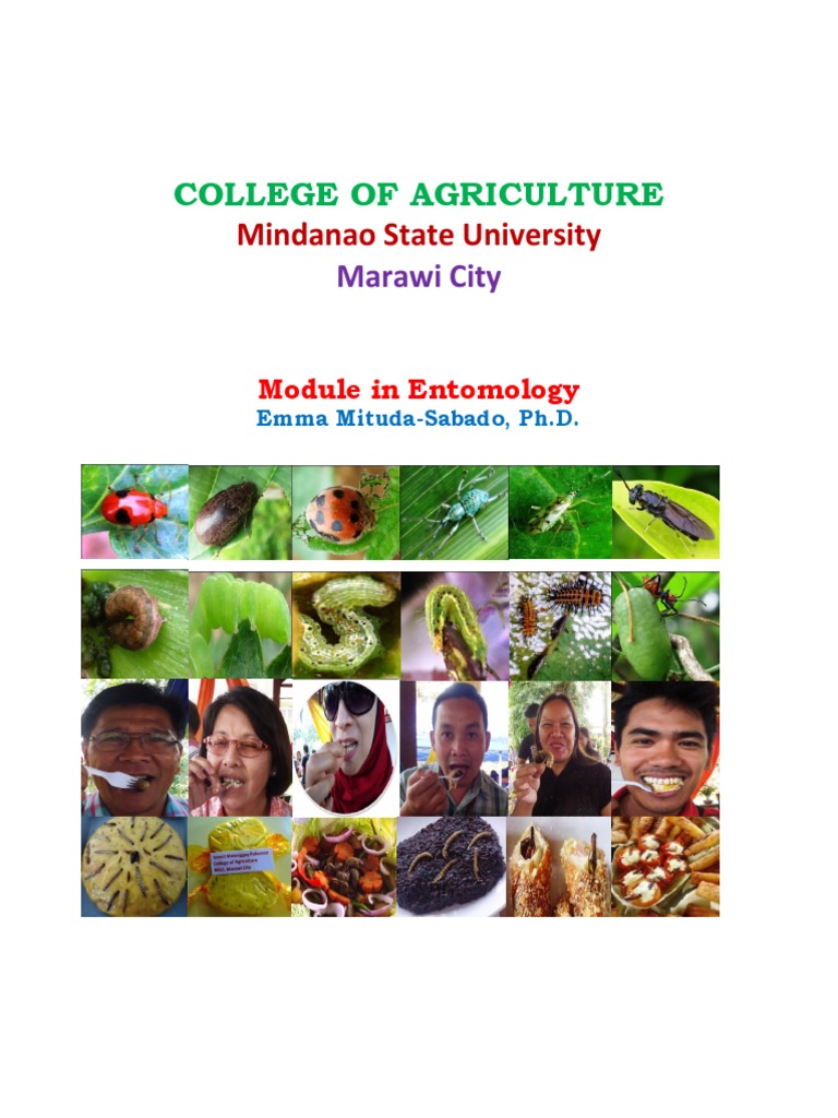 2016abc SABADO REVISED ENTOM MODULE | PDF | Zoology | Insects