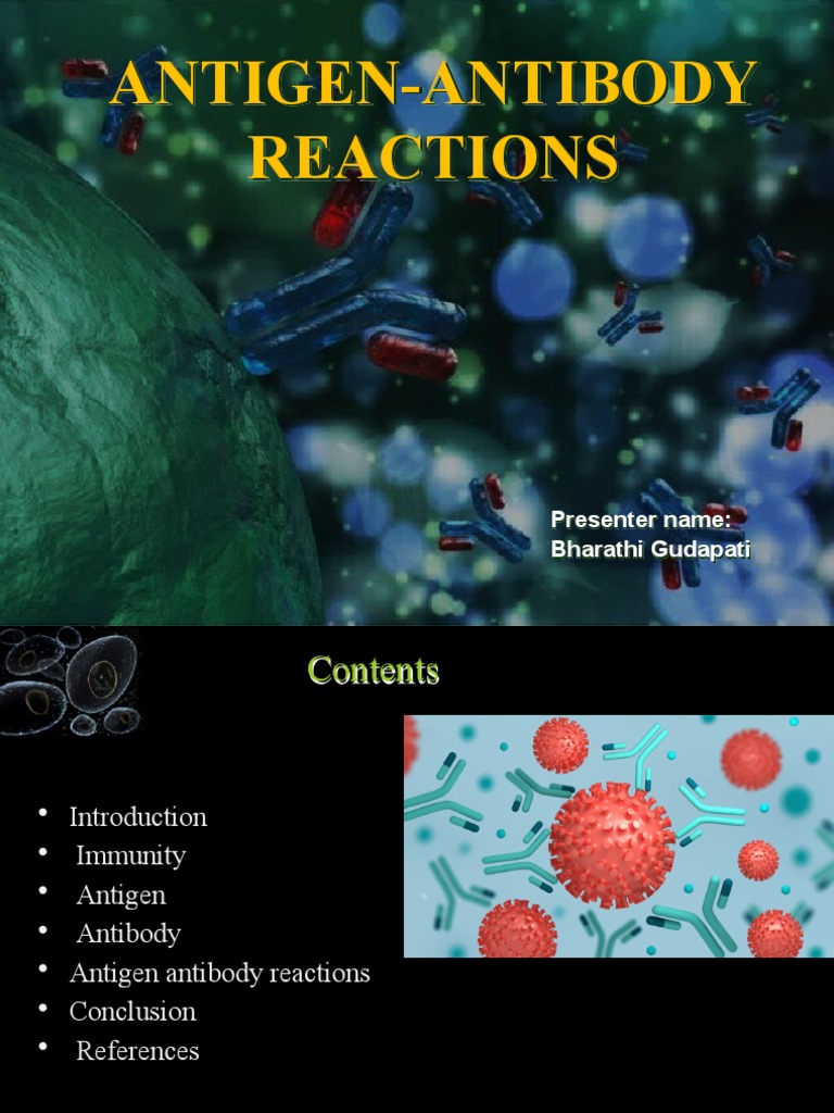 Sem 4 Antigen Antibody Reactions PDF Antibody Allergy