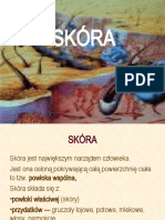 Skóra A