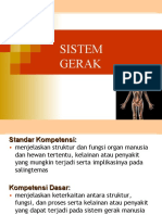 Sistem Gerak