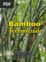 Bamboo Technoguide 2021