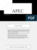 Proiect Geografie APEC